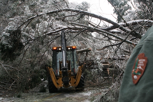 Trees and limbs felled by heavy loads of ice and snow block Green River Ferry Road North on the north side of Mammoth Cave National Park.