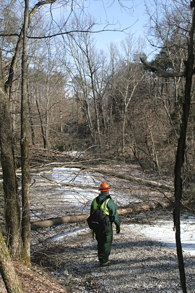 Mammoth Cave NP Ranger John Ashcraft assessed damage on Houchins Ferry Road North after the January 2009 ice storm.