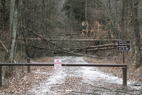 Buffalo Road closed by ice storm damage