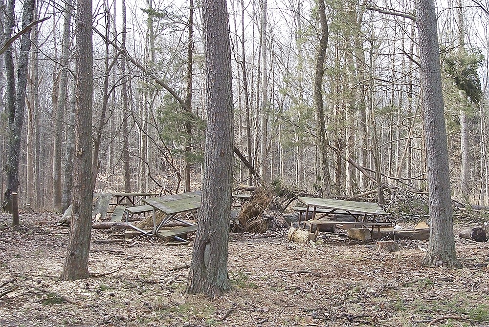 Picnic tables at the Maple Springs Group Camp in Mammoth Cave National Park have been destroyed by falling trees during the January 2009 ice storm.