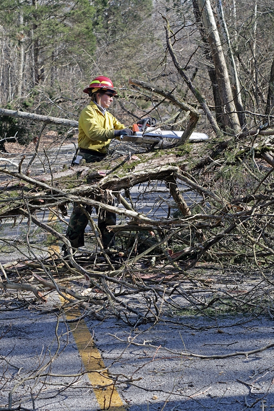 A sawyer clears fallen trees from Flint Ridge Road after the January 2009 ice storm.