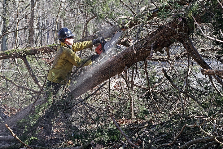 A sawyer clears fallen trees from Flint Ridge Road after the January 2009 ice storm.