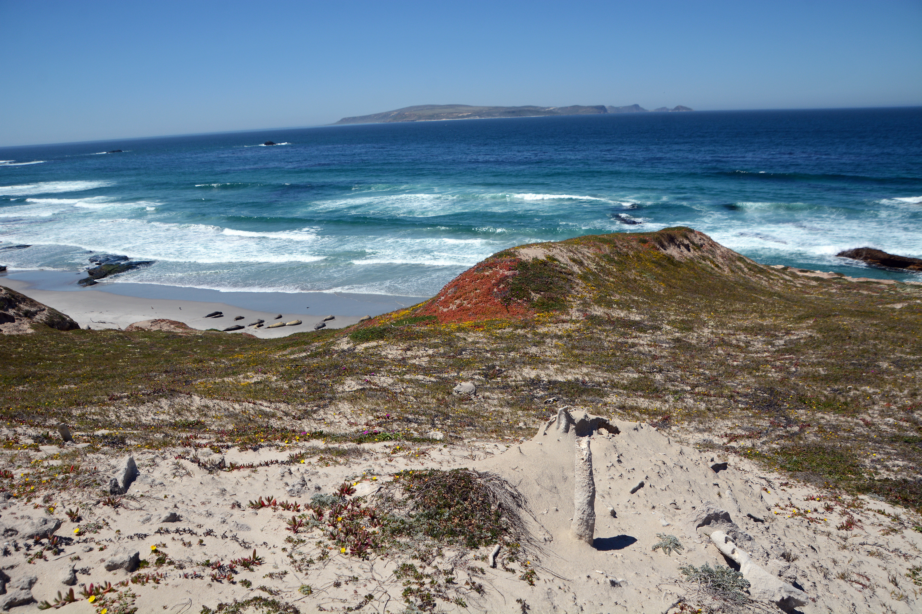 coastline with island in background
