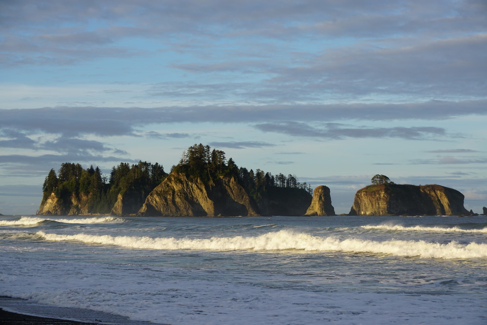 Sea stacks along the Olympic coast, Olympic National Park