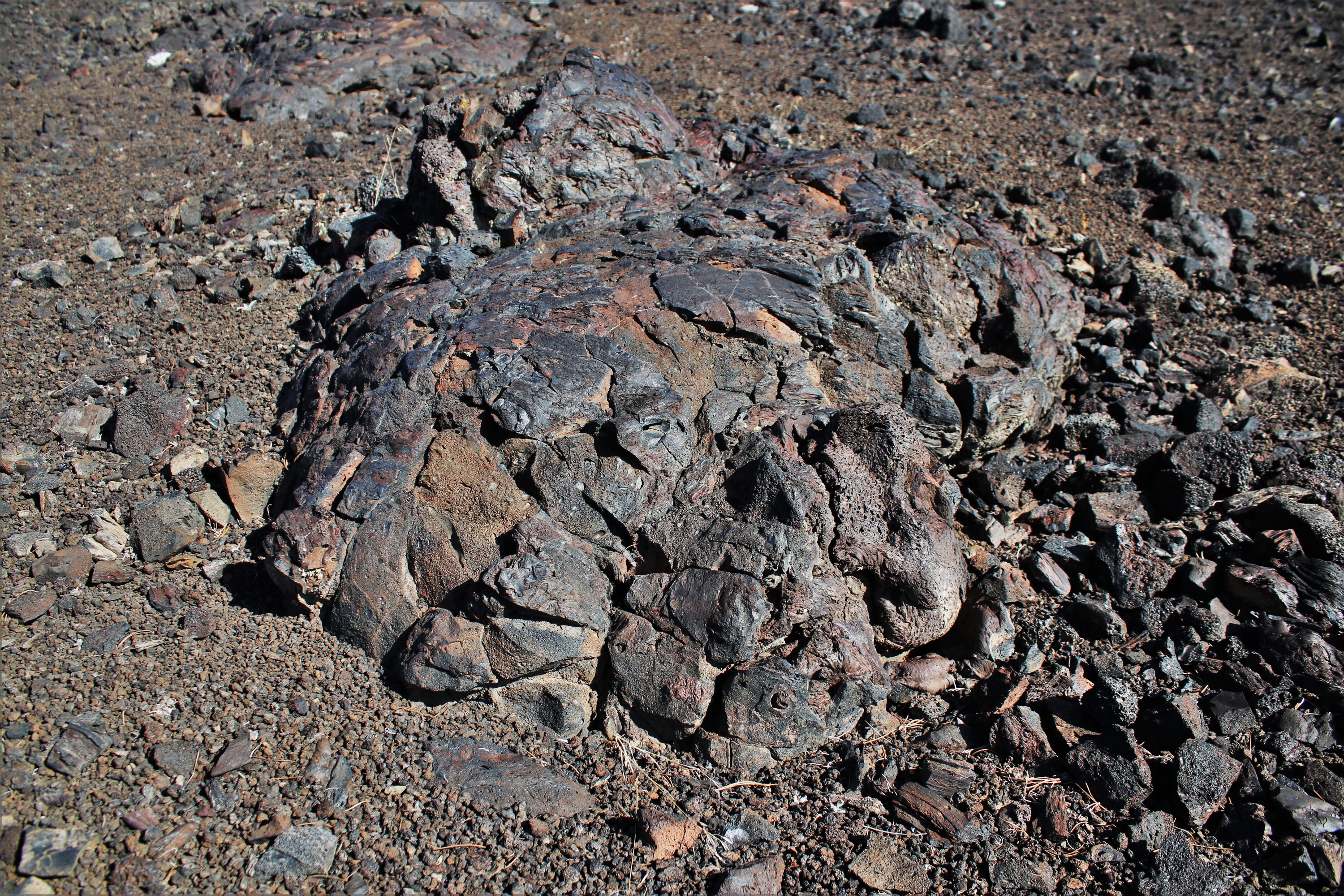 a rock formation that has a rounded shape with a smooth crust and smaller, broken fragments around the edges