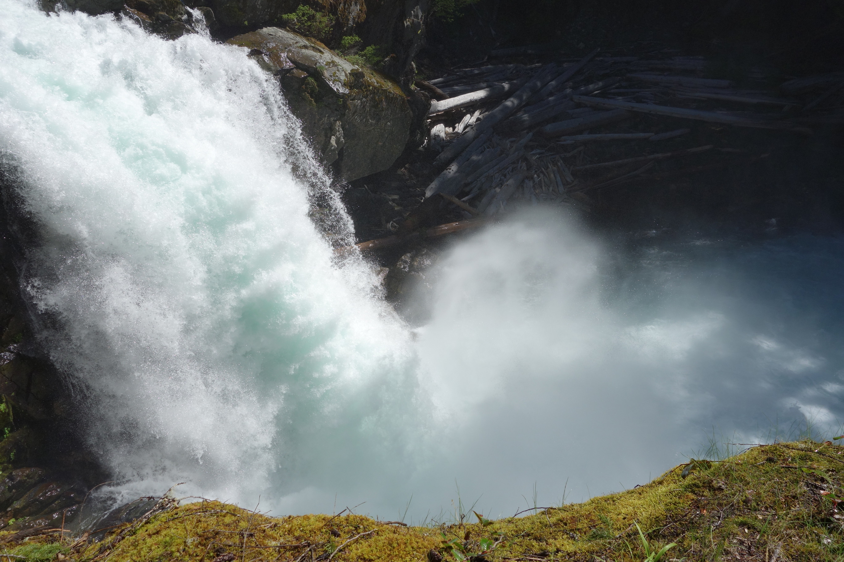 Silver Falls Loop trail