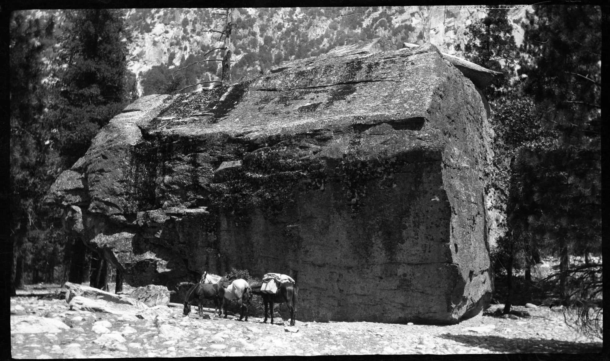 SEKI Roberts Collection Series: 2 Negatives; 7 Landmarks