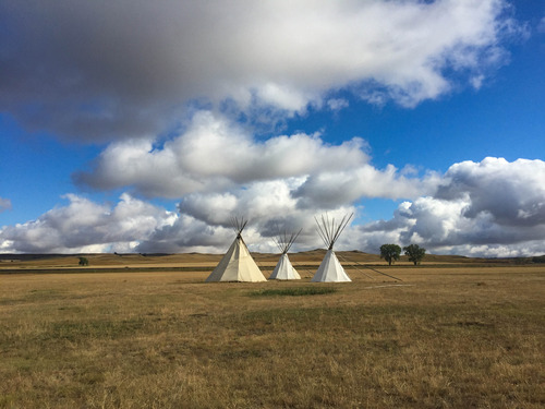 Three tipis in a field