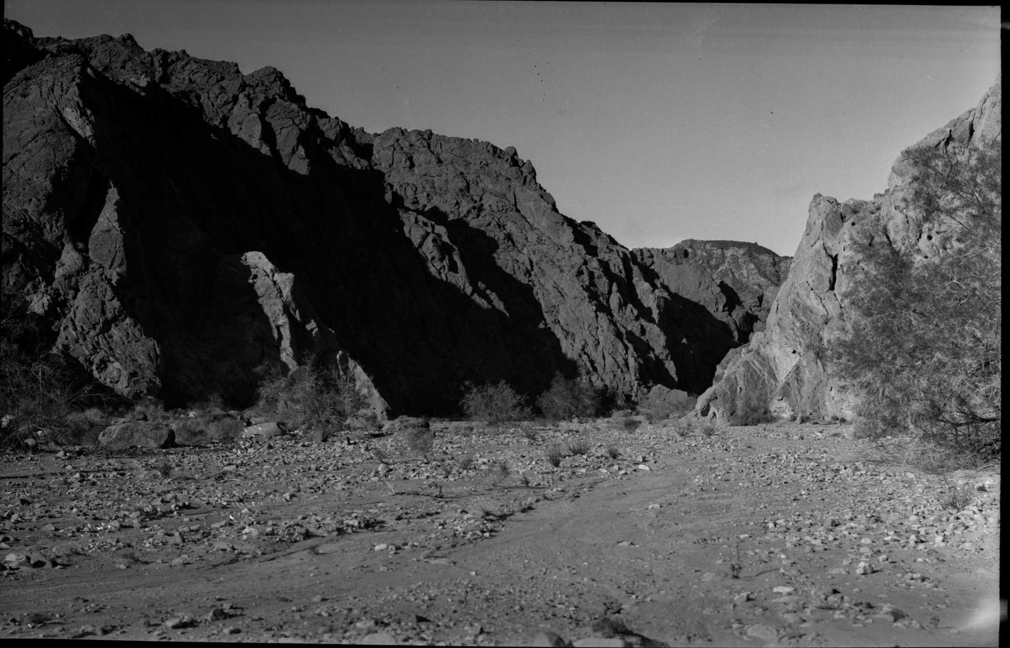 SEKI Roberts Collection Series: 2 Negatives; 10 Outside of the Park