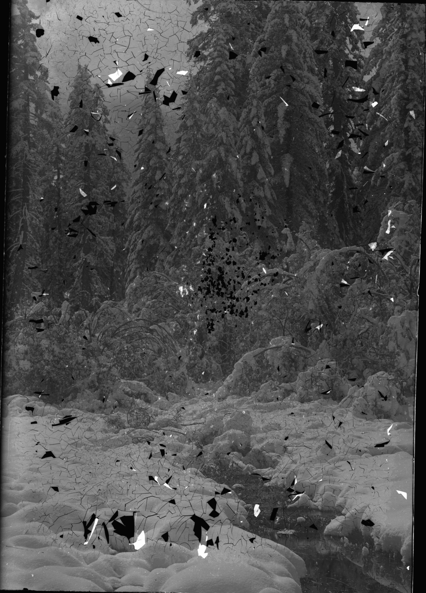 SEKI Roberts Collection Series: 1 Glass Plates; 1 Small glass plates; 12 Scenics