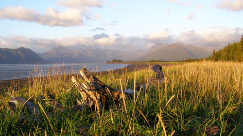 Photo Gallery (U.S. National Park Service)