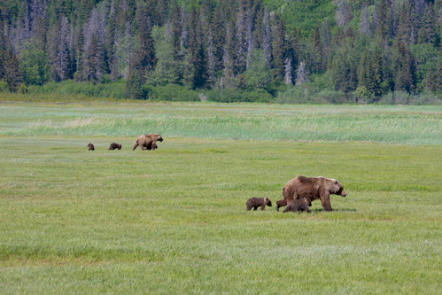 Photo Gallery (U.S. National Park Service)