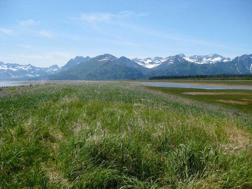 Photo Gallery (U.S. National Park Service)