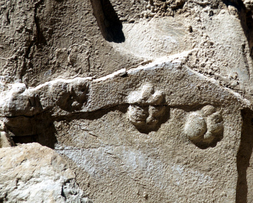 small raised paw prints in stone.
