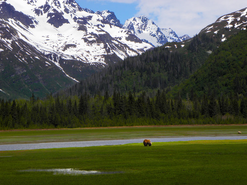 Photo Gallery (U.S. National Park Service)