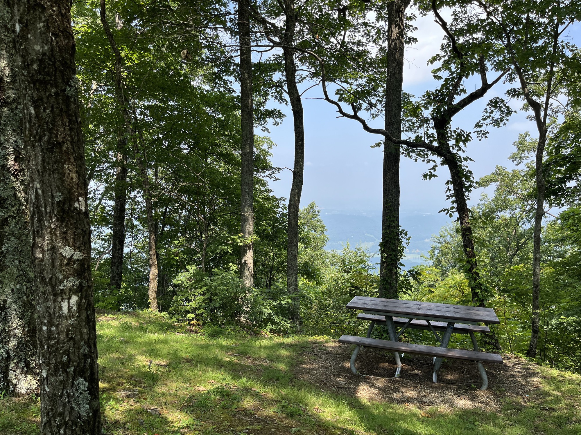 Look Rock Picnic Area (U.S. National Park Service)