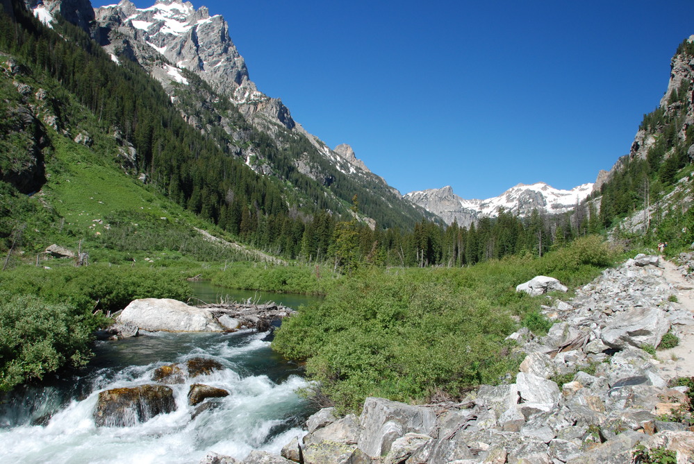 A view of Cascade Canyon and the surrounding mountain sides of the Teton Range. 