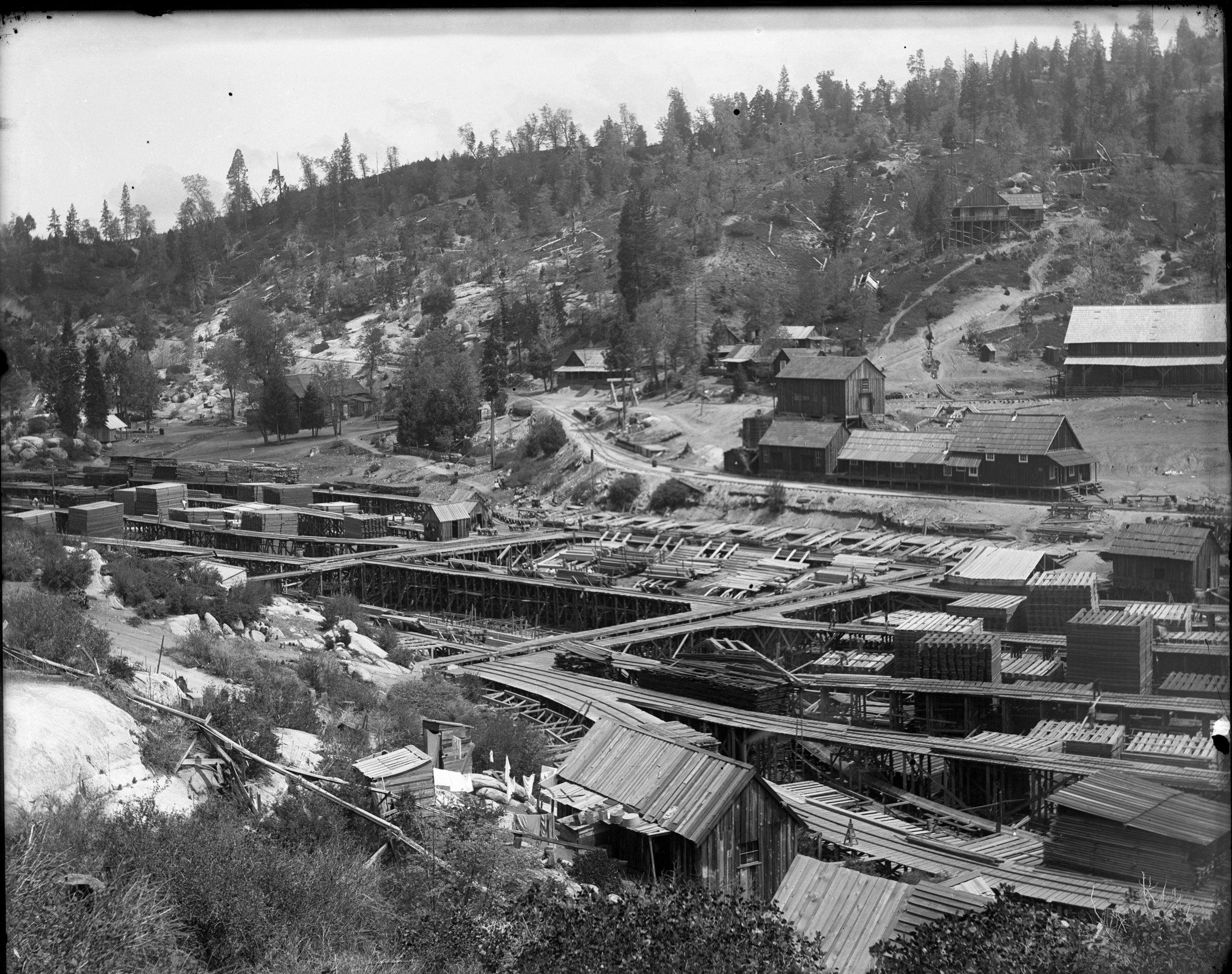 SEKI Roberts Collection Series: 1 Glass Plates; 3 Large glass plates; 8 Logging