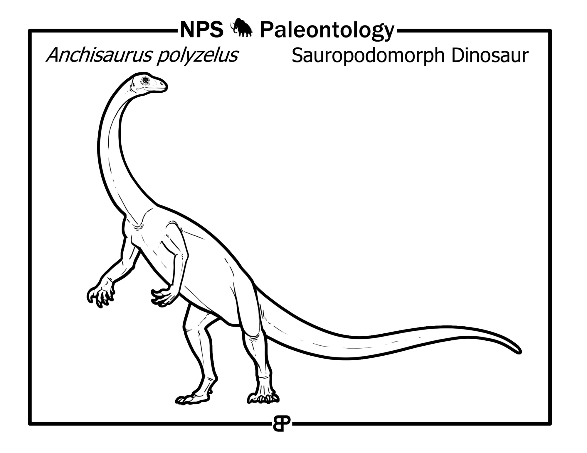 black and white drawing of a long-necked dinosaur