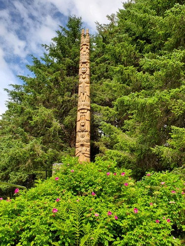 A very tall Northwest Coast Totem Pole behind bushes of blooming bright pink roses.