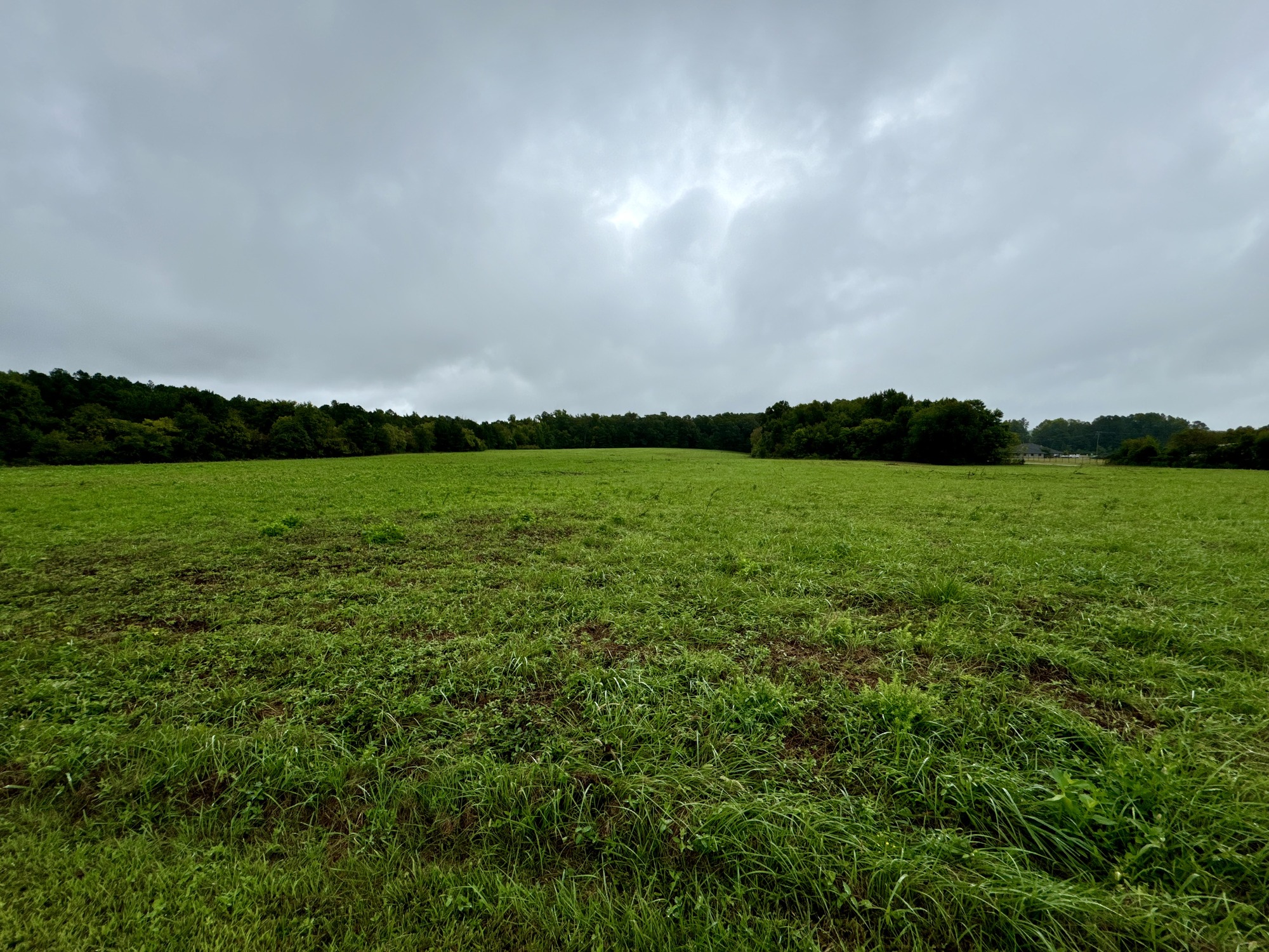 Open field at the Fort Gregg site in Petersburg National Battlefield. This field will be reconstructed as a native grassland as part of an upcoming grasslands restoration project.