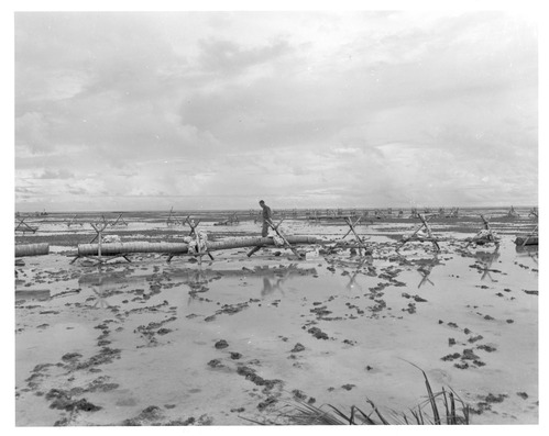 A male soldier walks along the beach a low tide. The beach is studded with barricades made of logs and coral.
