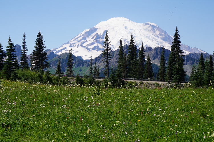 Photo Gallery (U.S. National Park Service)