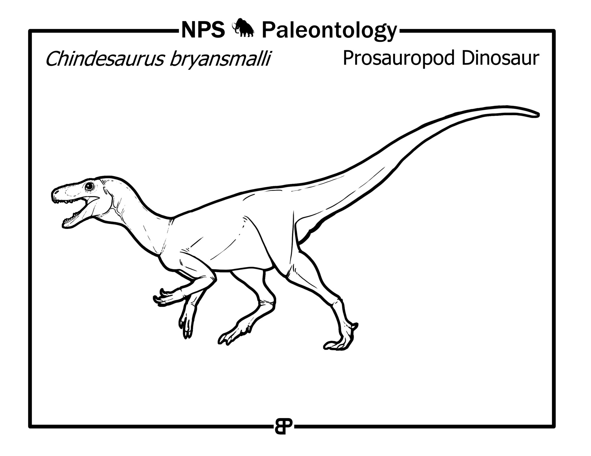 black and white drawing of a dinosaur running on its hind legs