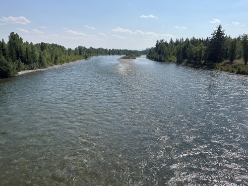 Snake River at Moose, WY looking downstream, August 11, 2024.