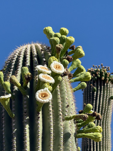 Photo Gallery (U.S. National Park Service)