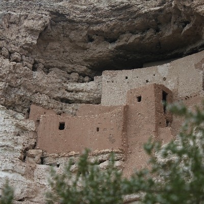 Montezuma Castle cliff dwelling behind creosote bushes