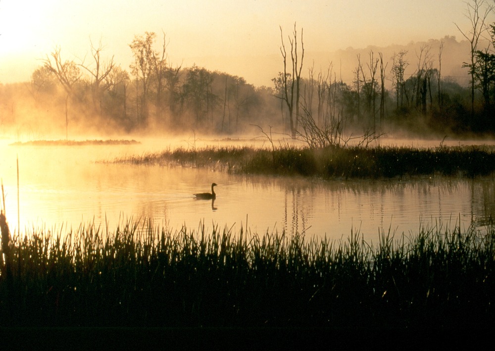 Photo (U.S. National Park Service)