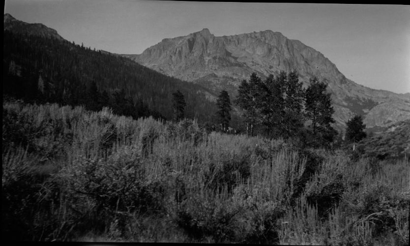 SEKI Roberts Collection Series: 2 Negatives; 12 Scenics
