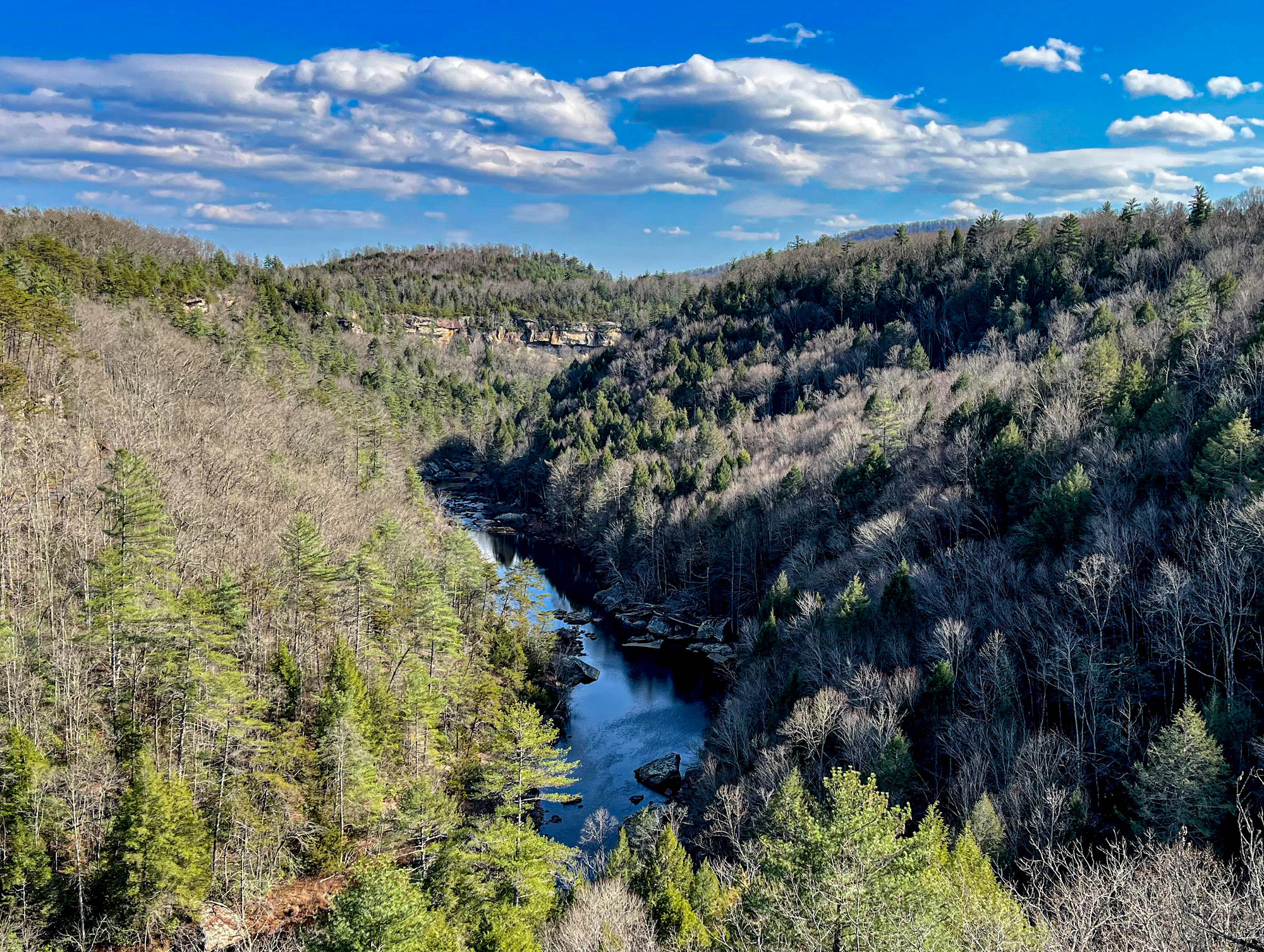 River flowing through a mountainous forested area