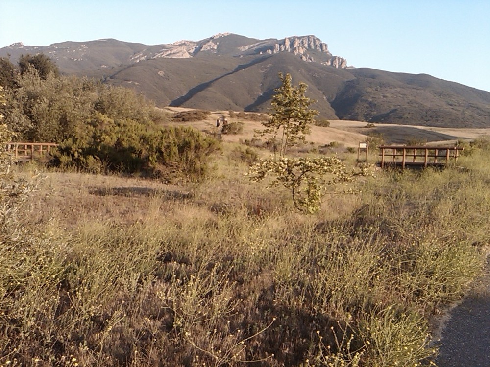 Trailside View of Boney Mountain