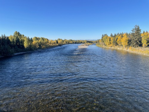 Snake River at Moose, WY looking downstream, September 24, 2024.
