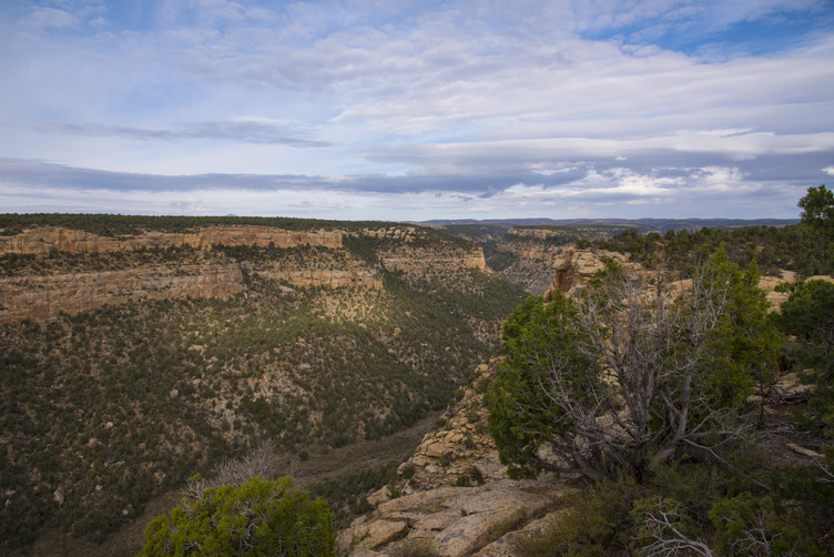 Red rock canyon and mesas covered in green vegetation.