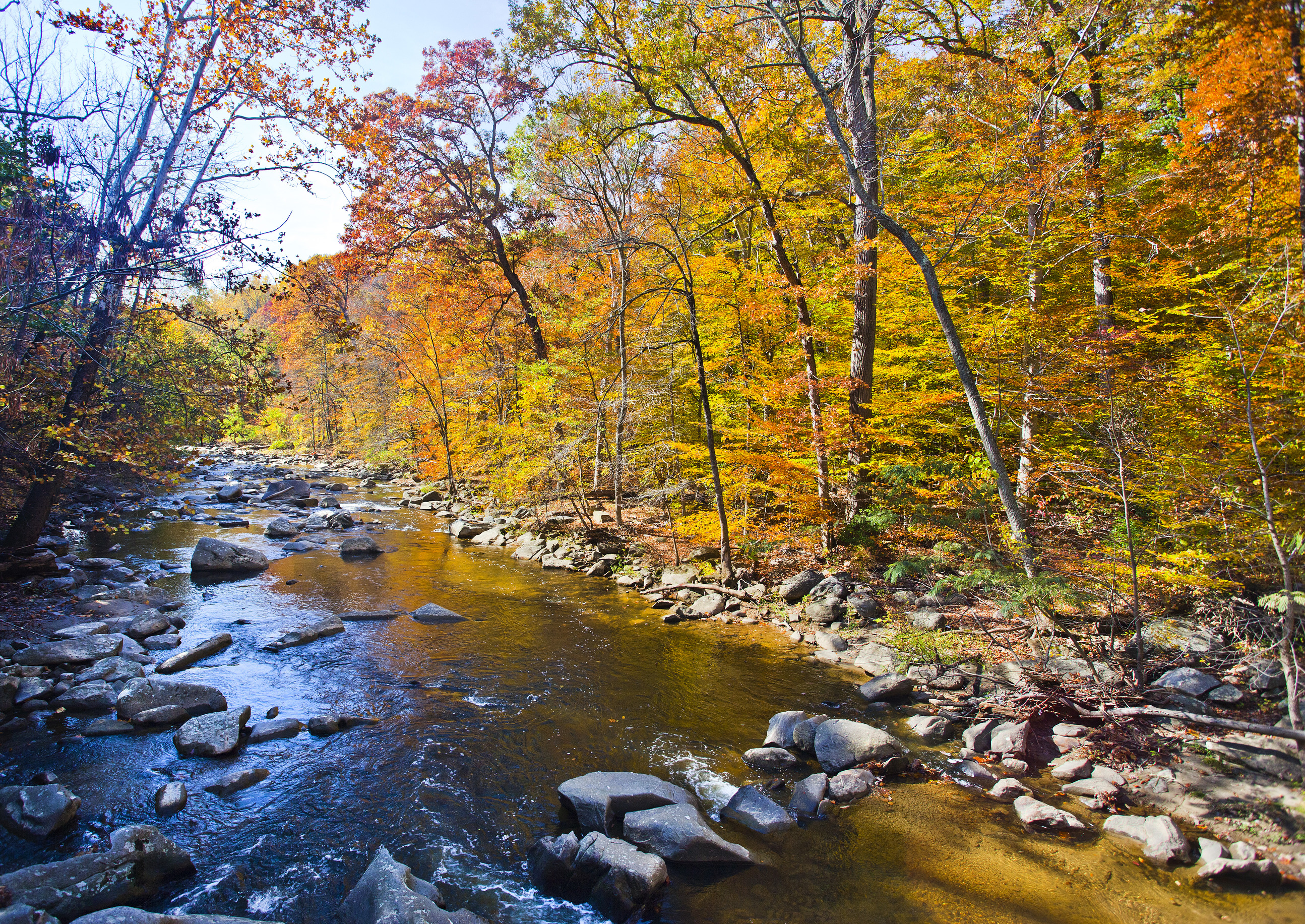 Photo Gallery - Rock Creek Park (U.S. National Park Service), image size:2589x1833