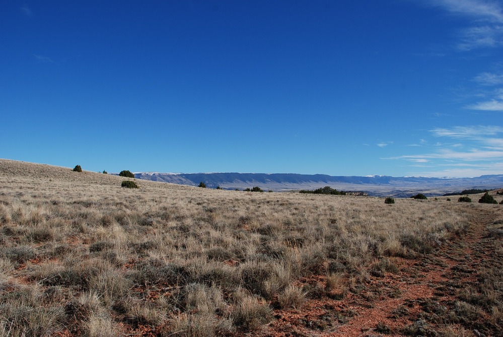 Lockhart Ranch Trail