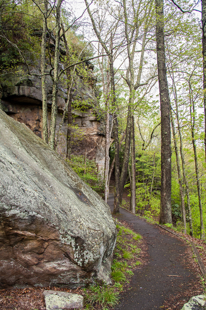 path through forest alongside rock cliffs