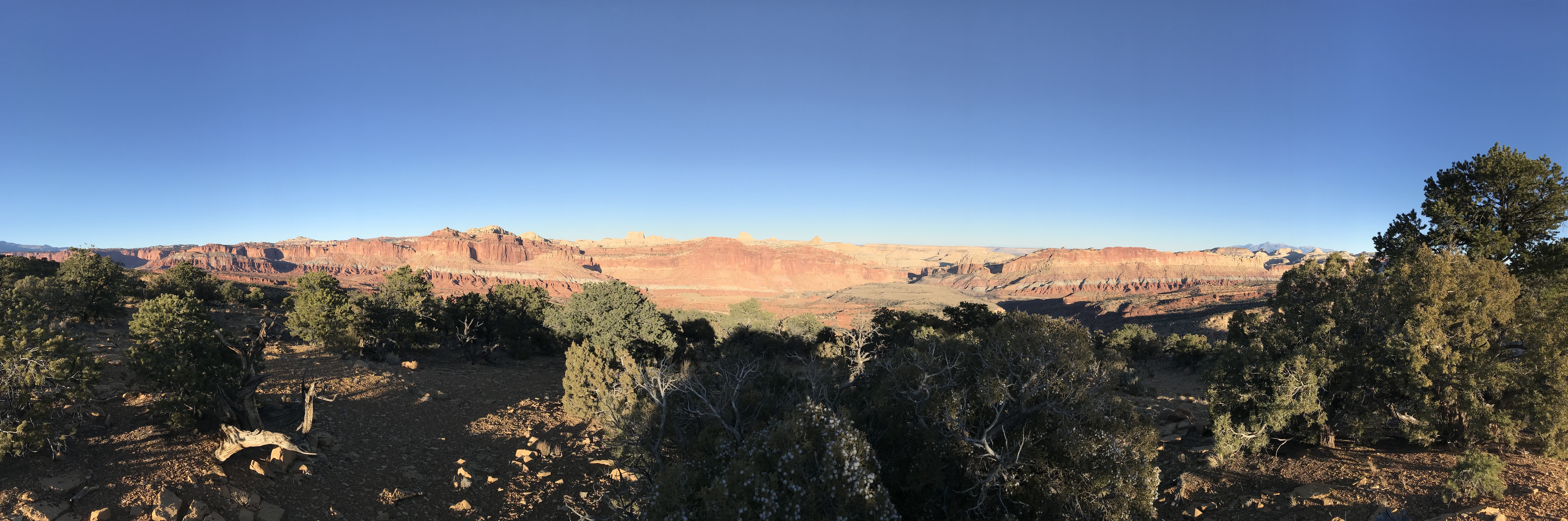 Sweeping view of red sandstone cliffs lit up by the setting sun in the distance. Short, green pinyon and juniper trees dot the foreground