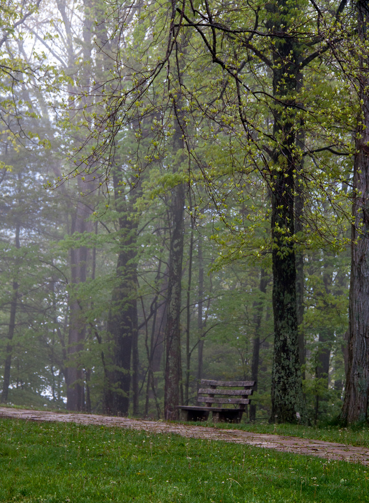 stone walkway with fog