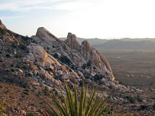 The Saddle; Ryan Mountain Trail