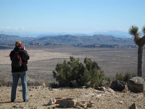 Overlooking Queen Valley; Ryan Mountain