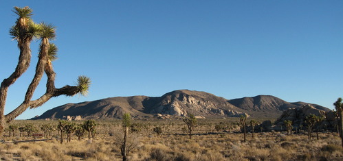 Ryan Mountain