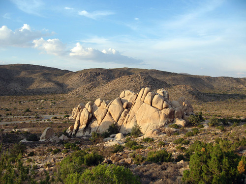 View from Ryan Mountain Trail