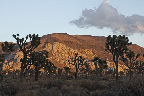 Ryan Mountain Sunset