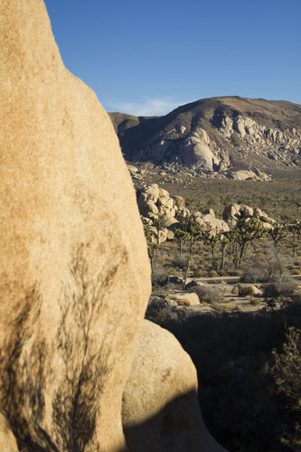 View of Ryan Mountain from Hidden Valley picnic area