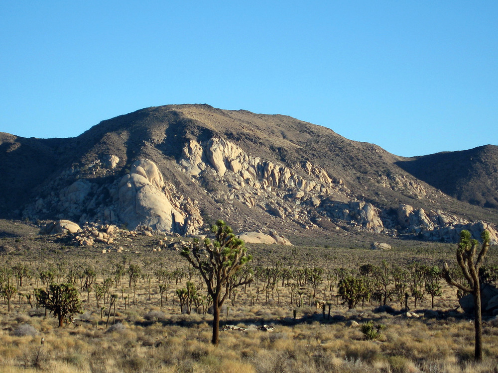 Ryan Mountain trail and landscape, Joshua Tree National Park — Photo: NPS