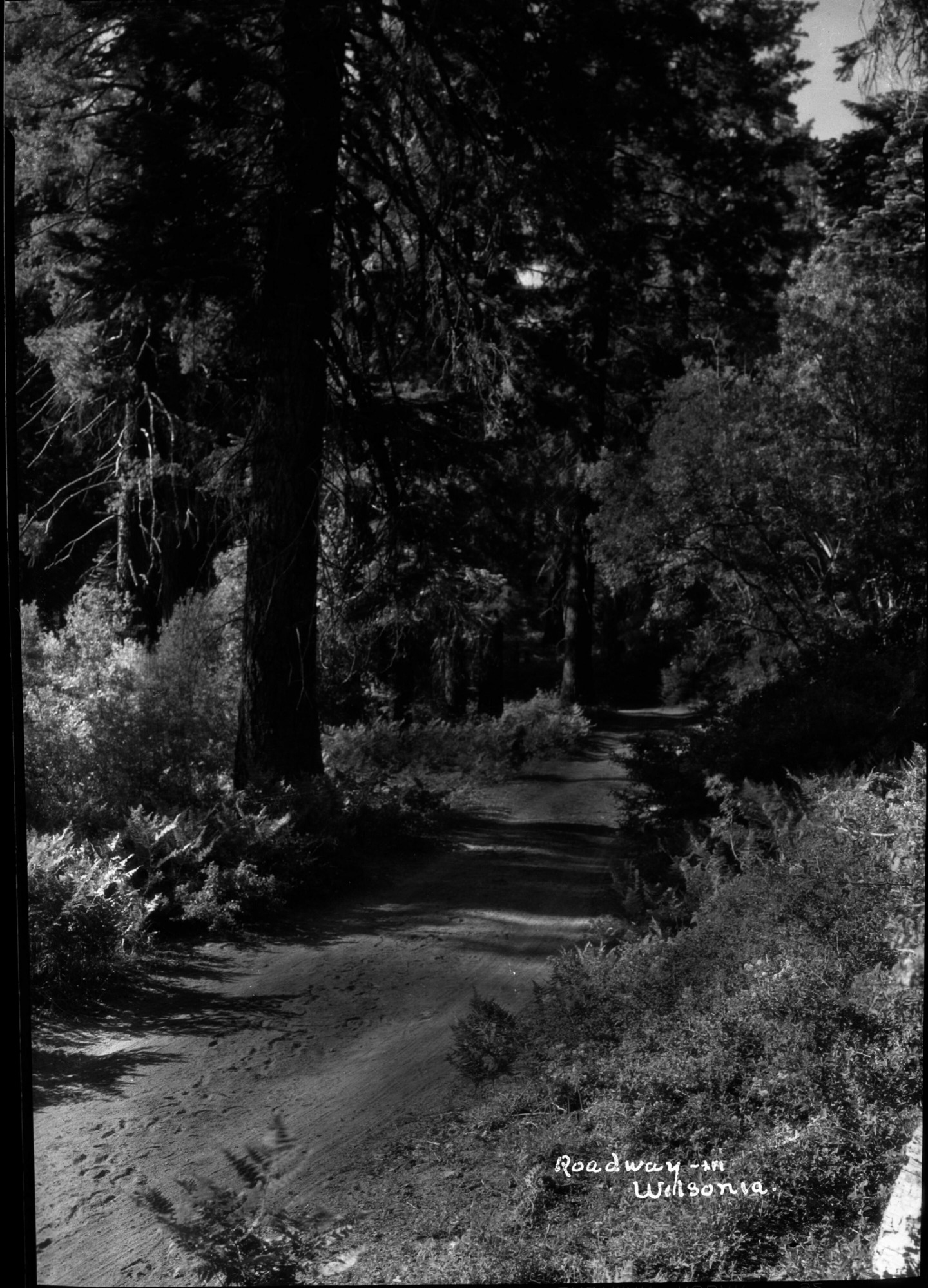 SEKI Roberts Collection Series: 2 Negatives; 14 Sites and Structures